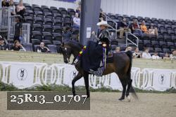 25R13_01707 thumbnail
