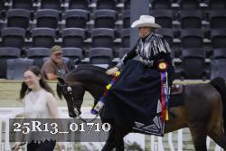 25R13_01710 thumbnail