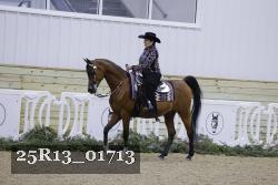 25R13_01713 thumbnail