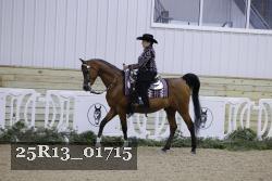 25R13_01715 thumbnail