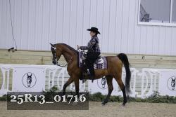 25R13_01716 thumbnail