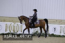 25R13_01717 thumbnail