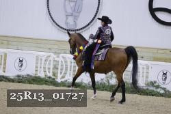 25R13_01727 thumbnail