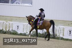 25R13_01730 thumbnail