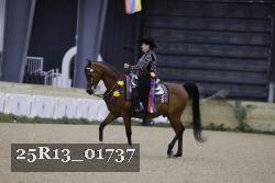 25R13_01737 thumbnail