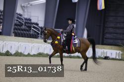 25R13_01738 thumbnail