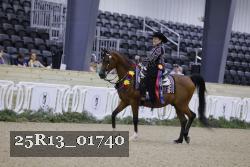 25R13_01740 thumbnail