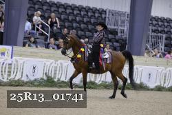 25R13_01741 thumbnail