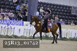 25R13_01742 thumbnail