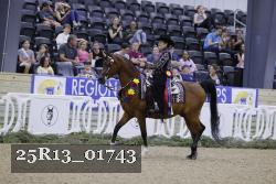 25R13_01743 thumbnail