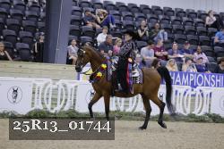 25R13_01744 thumbnail