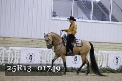 25R13_01749 thumbnail