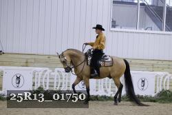 25R13_01750 thumbnail