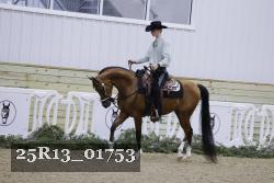 25R13_01753 thumbnail