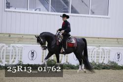 25R13_01762 thumbnail