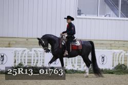 25R13_01763 thumbnail
