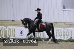 25R13_01764 thumbnail
