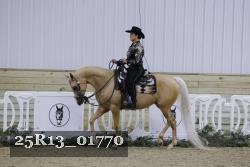 25R13_01770 thumbnail