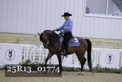 25R13_01774 thumbnail