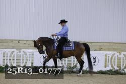 25R13_01777 thumbnail