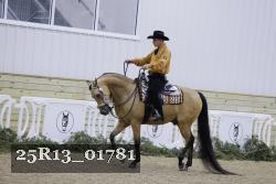 25R13_01781 thumbnail