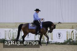 25R13_01790 thumbnail