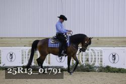 25R13_01791 thumbnail