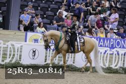 25R13_01814 thumbnail
