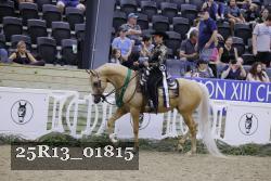 25R13_01815 thumbnail