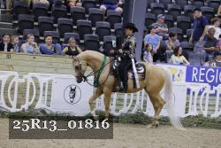 25R13_01816 thumbnail