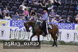 25R13_01822 thumbnail