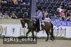 25R13_01824 thumbnail