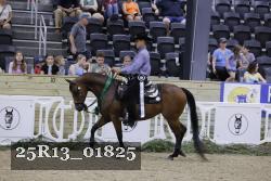 25R13_01825 thumbnail
