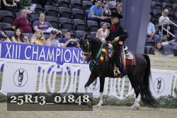 25R13_01848 thumbnail
