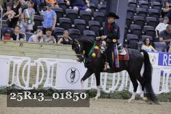 25R13_01850 thumbnail