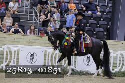 25R13_01851 thumbnail