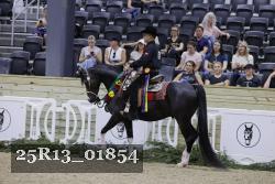 25R13_01854 thumbnail