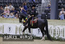 25R13_01855 thumbnail