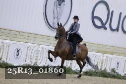25R13_01860 thumbnail