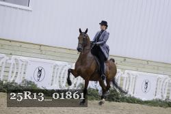 25R13_01861 thumbnail