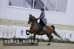 25R13_01862 thumbnail