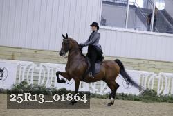 25R13_01864 thumbnail