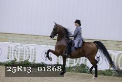 25R13_01868 thumbnail