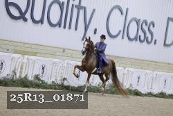 25R13_01871 thumbnail