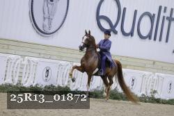 25R13_01872 thumbnail