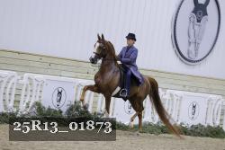 25R13_01873 thumbnail