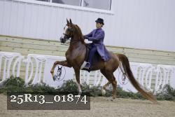 25R13_01874 thumbnail