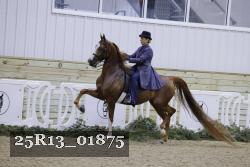 25R13_01875 thumbnail