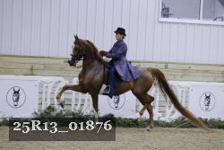 25R13_01876 thumbnail