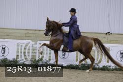 25R13_01877 thumbnail